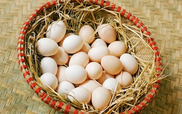 Ăn trứng bị đau bụng và hội chứng không dung nạp trứng