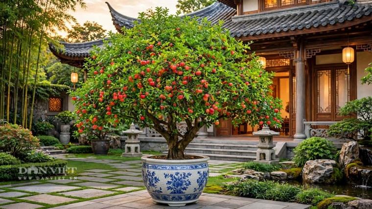 3 cây cảnh hoang dại bỗng lên đời quý tộc, ban công thành vườn địa đàng thơm ngọt, còn tích phúc, tụ lộc