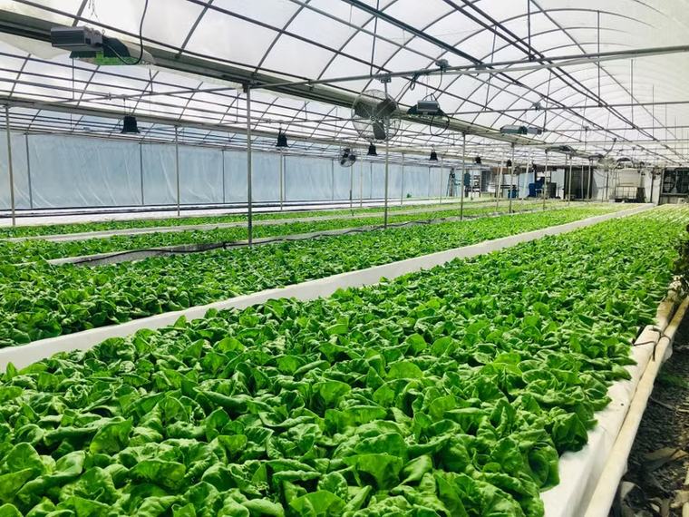 Bắc Ninh thúc đẩy chuyển đổi số, hướng tới nền nông nghiệp thông minh