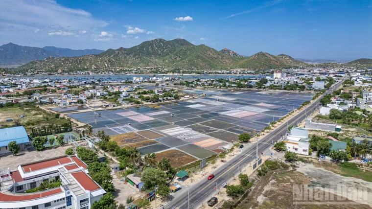 [Ảnh] Vị mặn của nắng, gió: Nhịp sống hối hả trên những cánh đồng muối nam Khánh Hòa