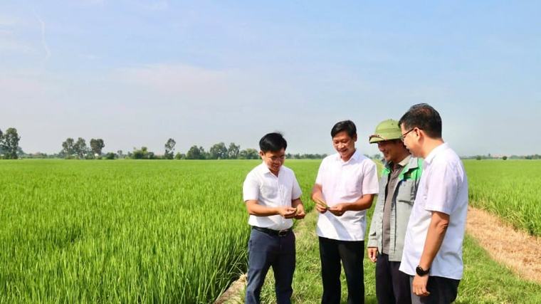 Nông dân một xã thuộc địa phận tỉnh Hải Dương cũ, nay là Hải Phòng biến ruộng hoang thành cánh đồng bạc tỷ thế nào?