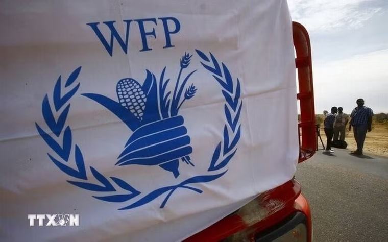 WFP cắt giảm một nửa viện trợ lương thực tại Bờ Tây do thiếu kinh phí