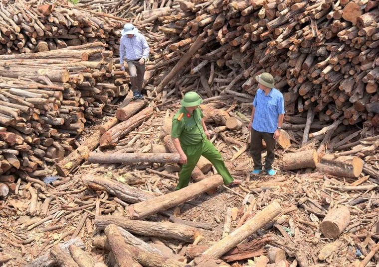 Khởi tố 9 cán bộ bảo vệ rừng nhận tiền doanh nghiệp để “thông” chốt