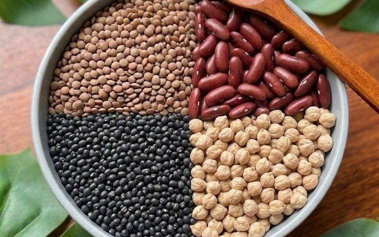 5 loại đậu giàu sắt tốt cho người ăn chay