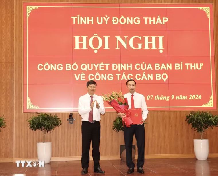 Ông Nguyễn Thanh Nhàn được điều động, chỉ định làm Phó Bí thư Tỉnh ủy Đồng Tháp