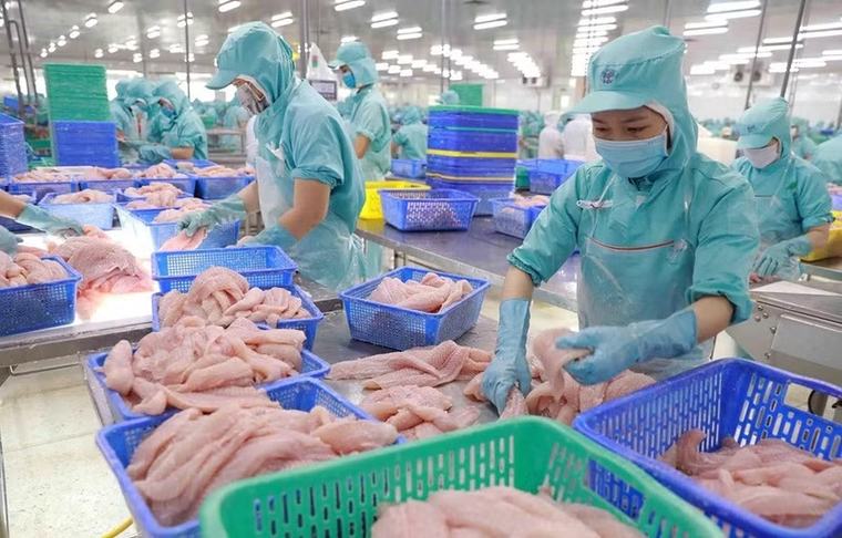 Nâng cao hiệu quả tiết kiệm năng lượng cho nhà máy thủy sản