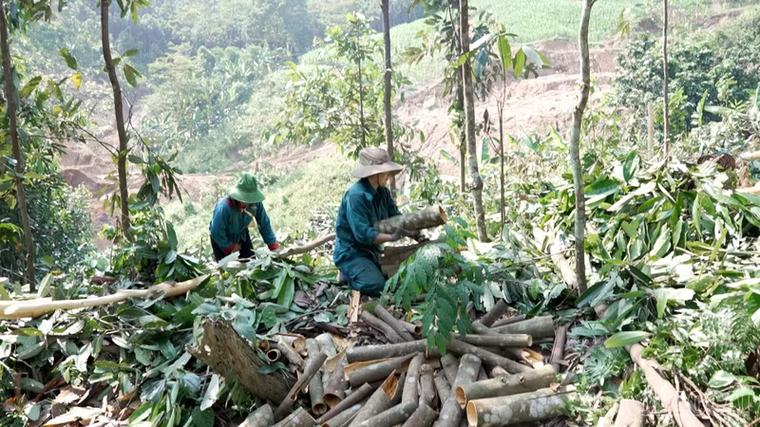 Khi nông dân cùng nhau liên kết hợp tác