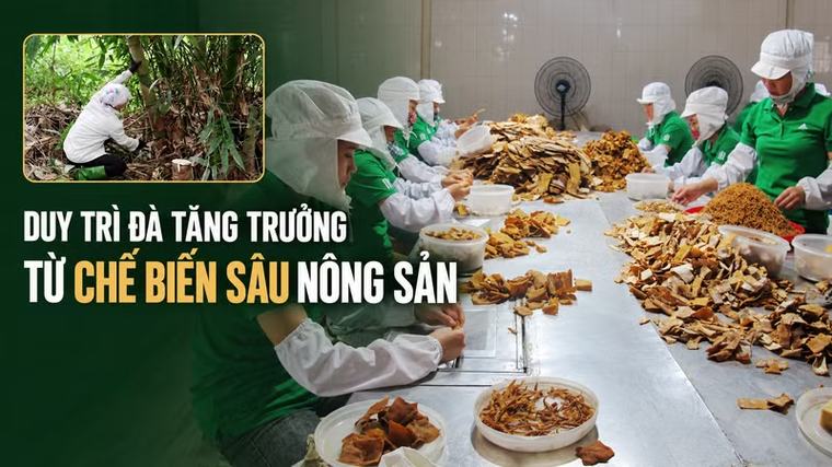 Duy trì đà tăng trưởng từ chế biến sâu nông sản