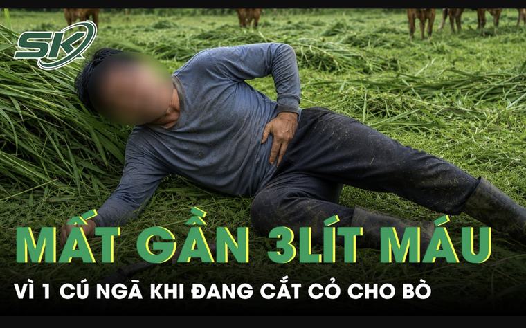 Đang cắt cỏ cho bò, người đàn ông ngã một cú mất gần 3 lít máu