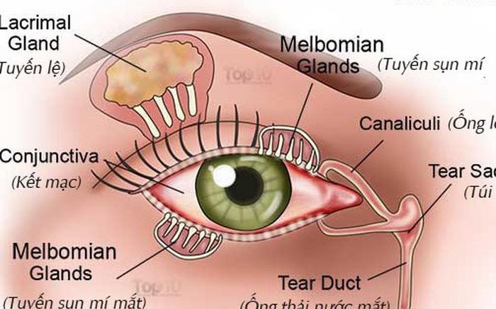 Tại sao người cao tuổi dễ bị khô mắt và cách khắc phục