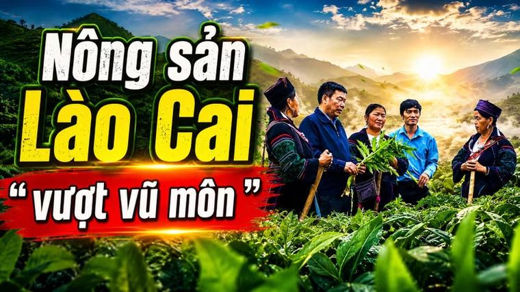 Phóng sự tài liệu: Giải pháp để nông sản Lào Cai "vượt vũ môn"
