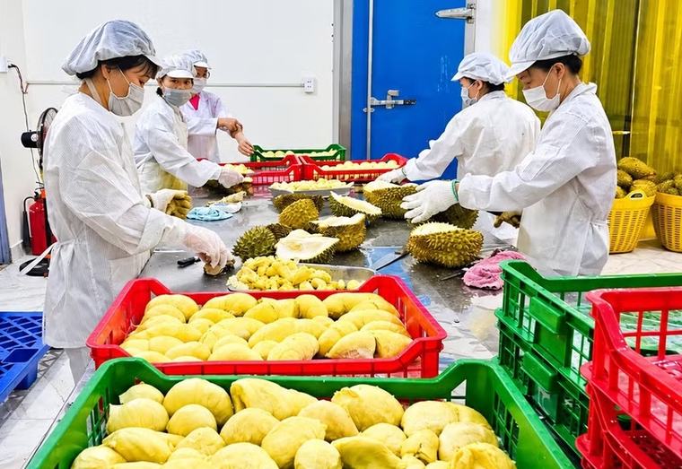 Doanh nghiệp giải thể tại Đắk Lắk tăng tới 700%
