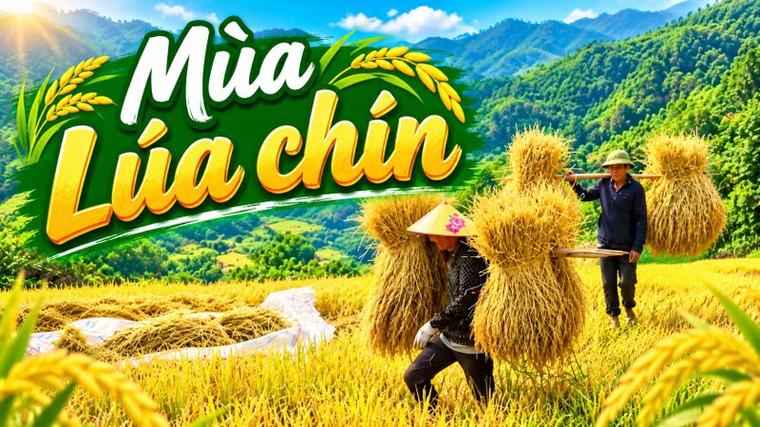 Kho no ấm ở vùng cao