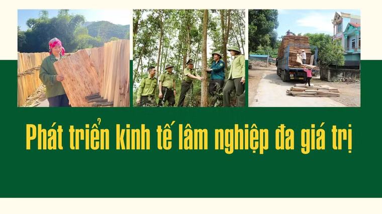 Phát triển kinh tế lâm nghiệp đa giá trị