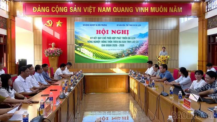 Lào Cai tăng cường phối hợp phát triển du lịch nông nghiệp, nông thôn