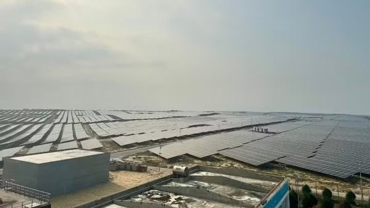 Bảo đảm sinh kế, hỗ trợ tái định cư tại dự án điện hạt nhân