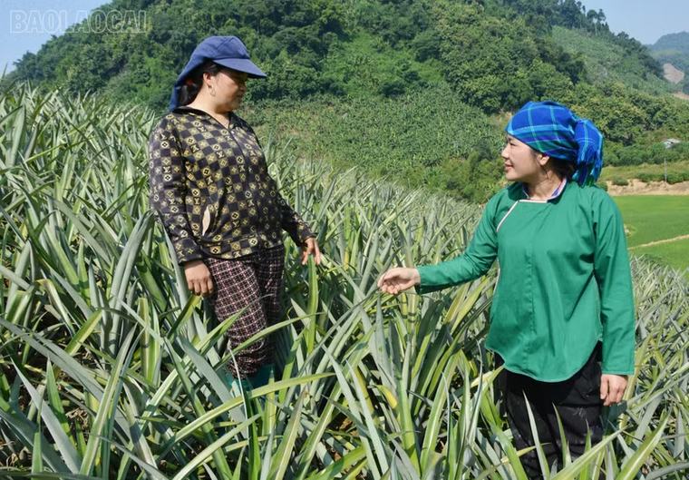 Phát huy vai trò “hạt nhân” của bí thư chi bộ