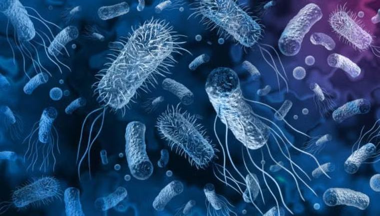 Hơn 130 bác sỹ nhiễm khuẩn Salmonella tại bệnh viện của Mexico