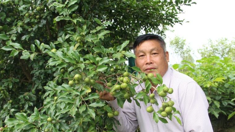 Từng “đốt tiền” cho cây dược liệu, nông dân Lạng Sơn này bất ngờ đổi đời nhờ 2 loại cây gì trồng trên đồi cao?