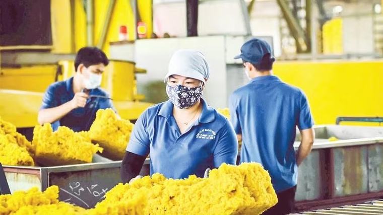 Doanh nghiệp cao su nâng cao chất lượng sản phẩm