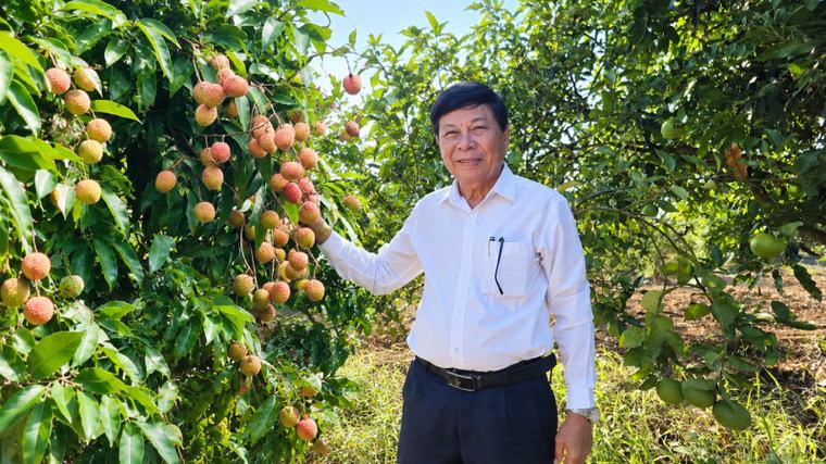 Nông dân Việt Nam xuất sắc 40 năm Đổi mới, tỷ phú Đà Nẵng làm giàu từ đất cằn, "quả ngon ngọt" chia sẻ với cộng đồng