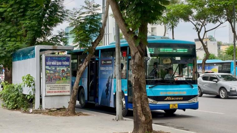 Cỏ cây mọc um tùm trên mái nhà chờ xe buýt ở Hà Nội