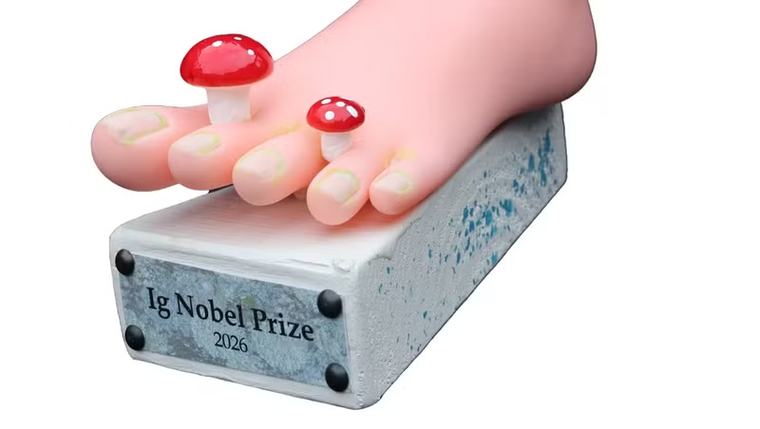 Sữa gián, bồn tiểu và vòi chích muỗi: Những nghiên cứu “khó tin” vừa thắng giải Ig Nobel
