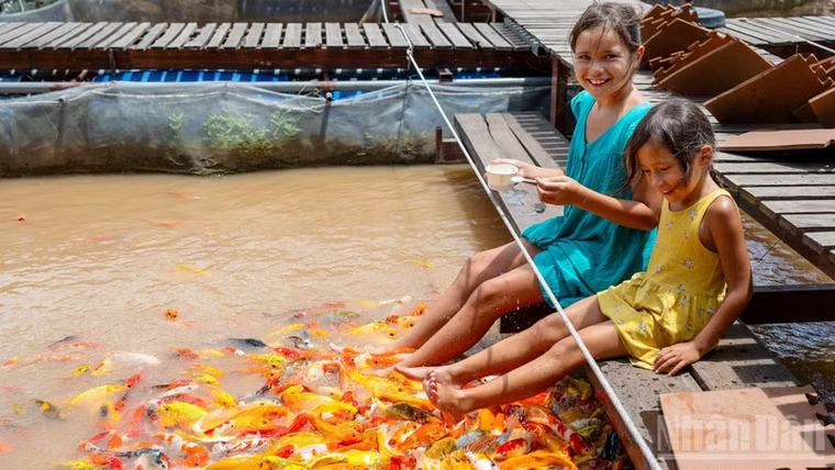 [Ảnh] Cồn Sơn - nơi mộc mạc níu chân du khách