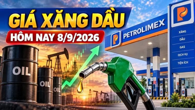 Giá xăng dầu hôm nay 8/9: Dầu thế giới leo cao, áp lực tăng giá trong nước