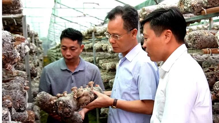 Phó Chủ tịch UBND tỉnh Lào Cai Nguyễn Thành Sinh thăm các mô hình phát triển kinh tế tại Púng Luông