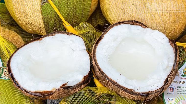 Phát triển hiệu quả, bền vững ngành hàng dừa