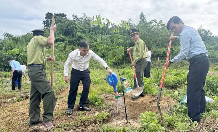 Trồng rừng cảnh quan “Vì một màu xanh bền vững” tại Khu di tích Ban Tổ chức Khu ủy