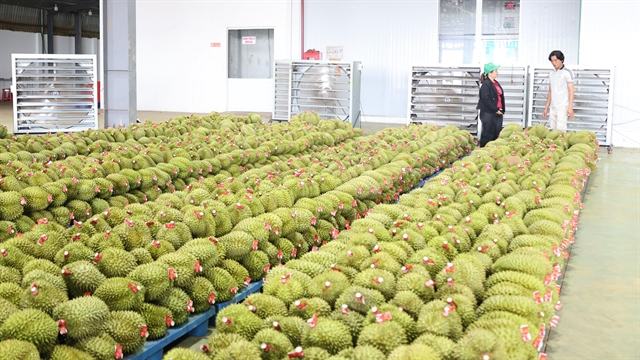 Việt Nam targets durian exports of around $4 billion in 2026