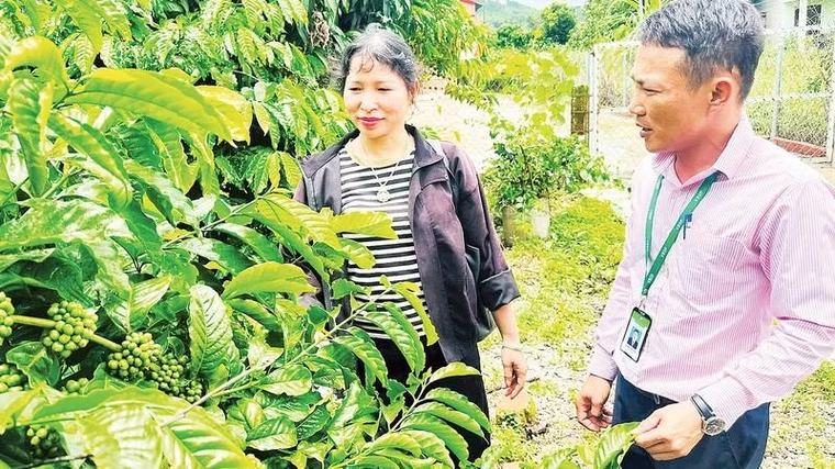 Vốn chính sách tiếp sức sản xuất vùng cao